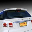 REAR SPOILER BACK DOOR 